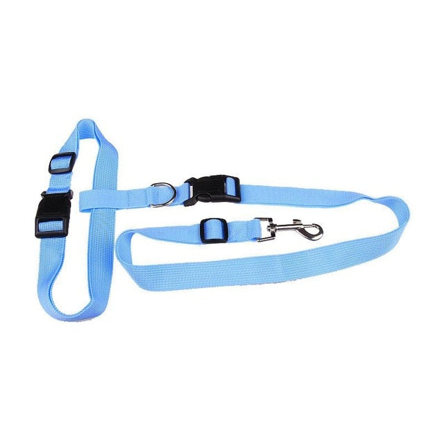 Pawly™ ActiveFlex Handsfri Koppel