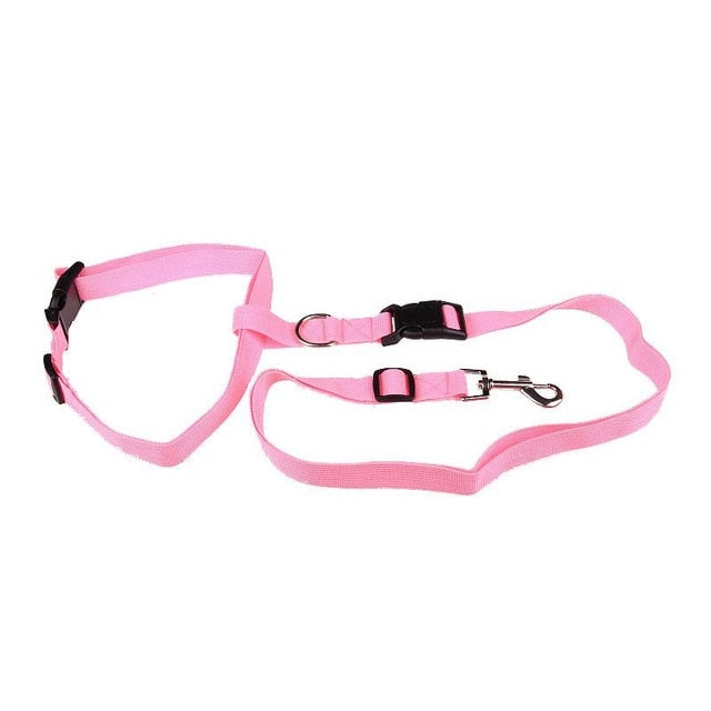 Pawly™ ActiveFlex Handsfri Koppel