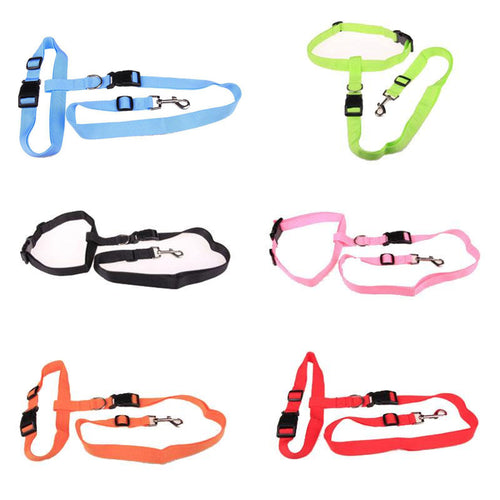 Pawly™ ActiveFlex Handsfri Koppel