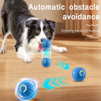 Pawly™ Smart Boll