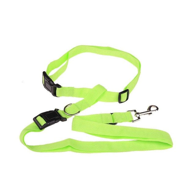 Pawly™ ActiveFlex Handsfri Koppel