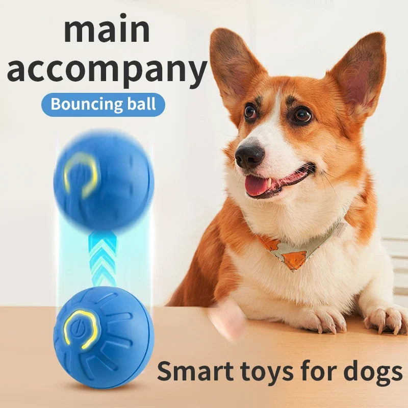 Pawly™ Smart Boll