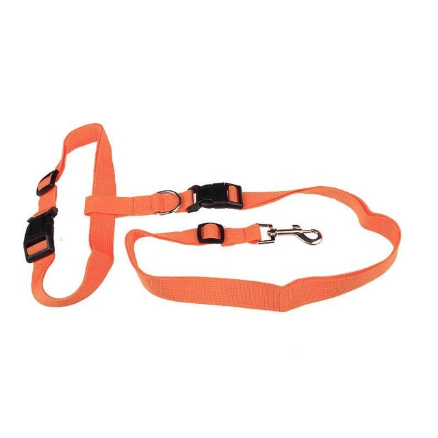 Pawly™ ActiveFlex Handsfri Koppel