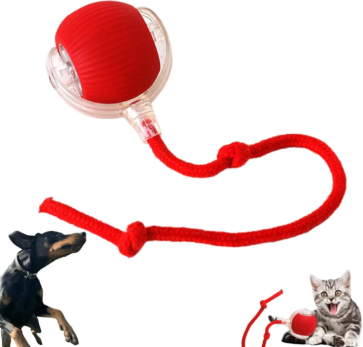 Pawly™ Tease & Chase Jaktboll